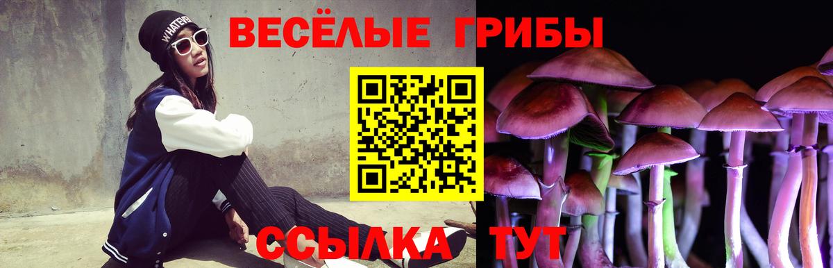 Псилоцибиновые грибы MAGIC MUSHROOMS  как найти закладки  Дербент  Вход с VPN 